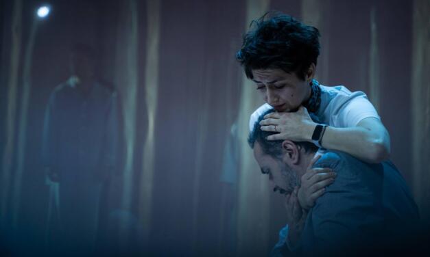 La Vie En Sickly Rose: Florian Zeller’s “The Son” at the German State Theatre