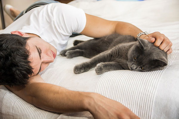 Man reinforcing his cat with cuddles when she is calm.