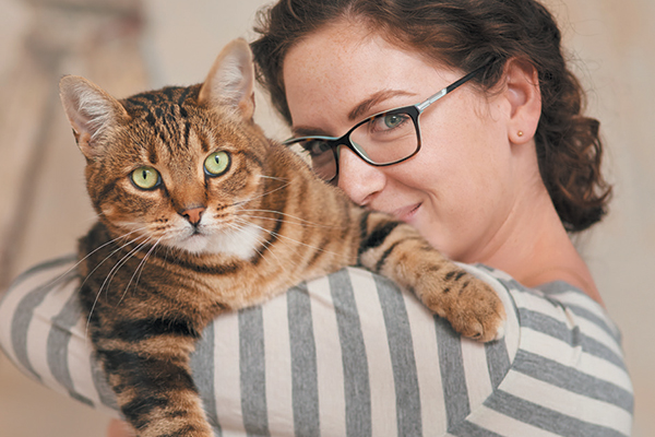 Hydration, playtime, and finances and just some things to consider when adopting a senior cat. Photography ©AJ_Watt | Getty Images.