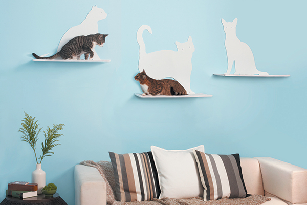 Cats on cat shelves above a couch.