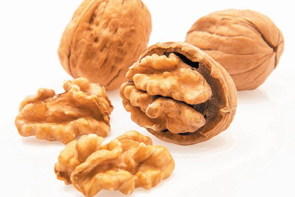 Walnut shells as natural cat litter does a great job at controlling odor. Photography ©serdar_yorulmaz | Getty Images.