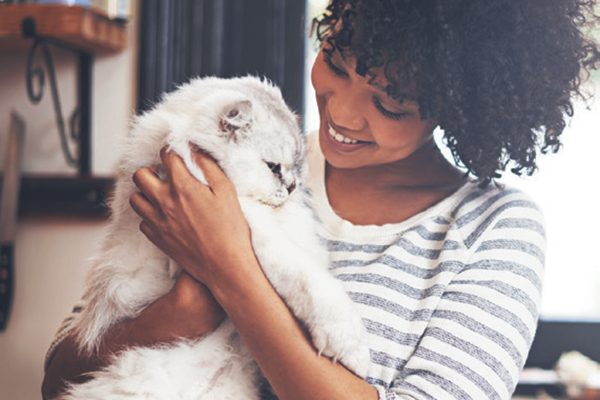 Pay attention to your cat's food preferences when deciding to use wet or dry cat food. Photography ©mapodile | Getty Images.