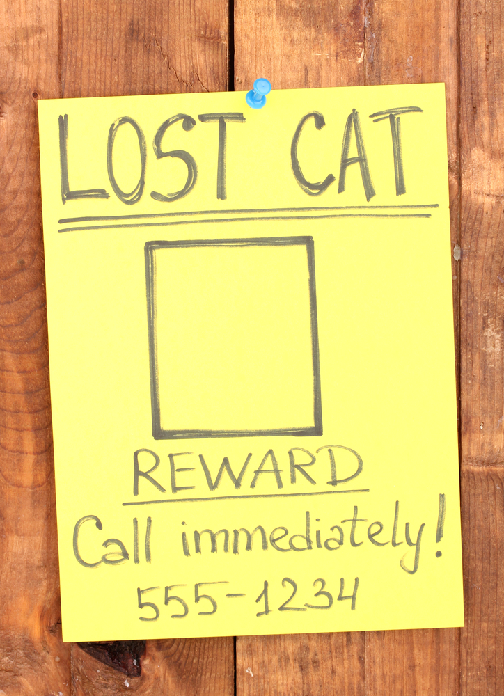 A lost cat sign.