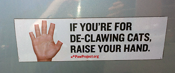 Anti-declawing bumper sticker from The Paw Project.