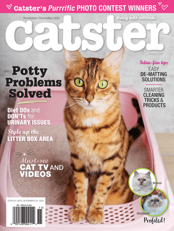 Catster Print Magazine
